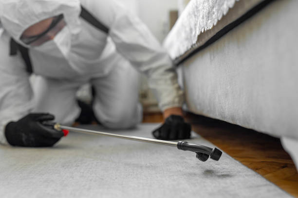 Professional Termite Control technician working in Machesney Park, IL