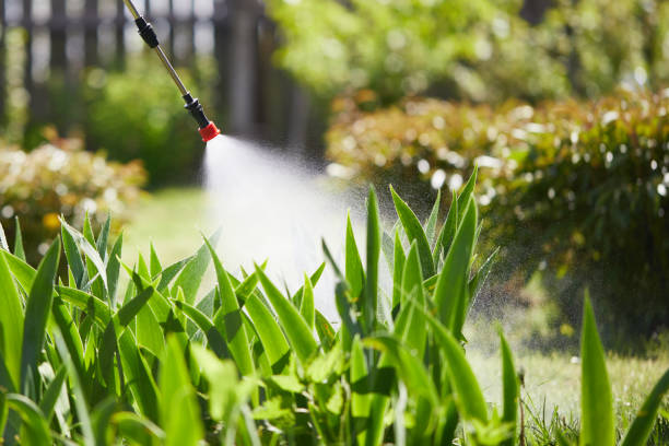 24/7 Emergency Termite Control experts in Machesney Park, IL